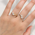 Anillo 2 óvalos