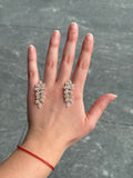 Aretes planta